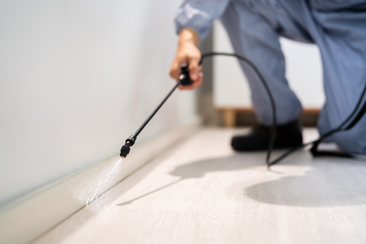 Pest control technician spraying along baseboards to eliminate insects inside a facility